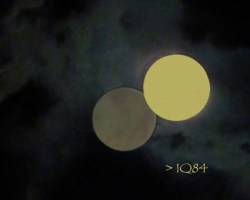 IQ84